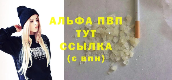 прущие грибы Новодвинск