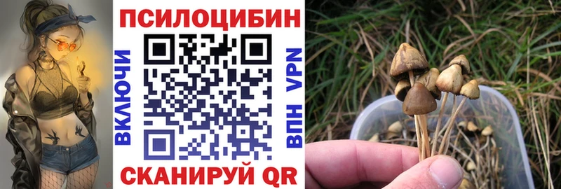 что такое наркотик  Великий Новгород  Галлюциногенные грибы мухоморы 