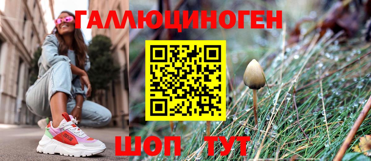 Псилоцибиновые грибы ЛСД Великий Новгород