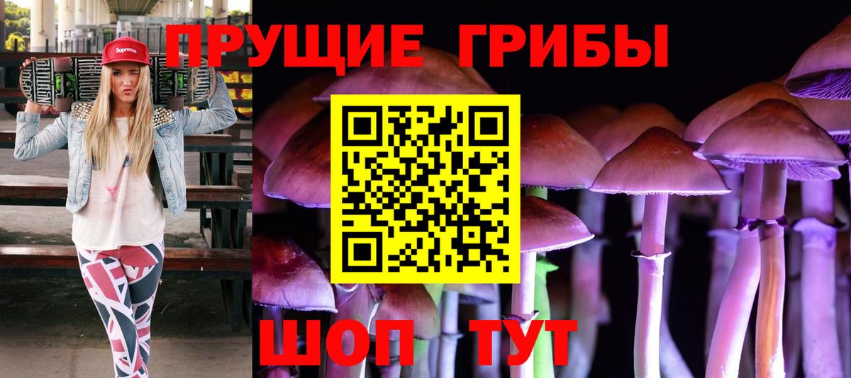 Галлюциногенные грибы Cubensis  Псилоцибиновые грибы Psilocybine cubensis  Великий Новгород  Вход с VPN 