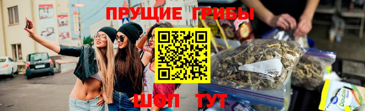 Галлюциногенные грибы Cubensis Великий Новгород