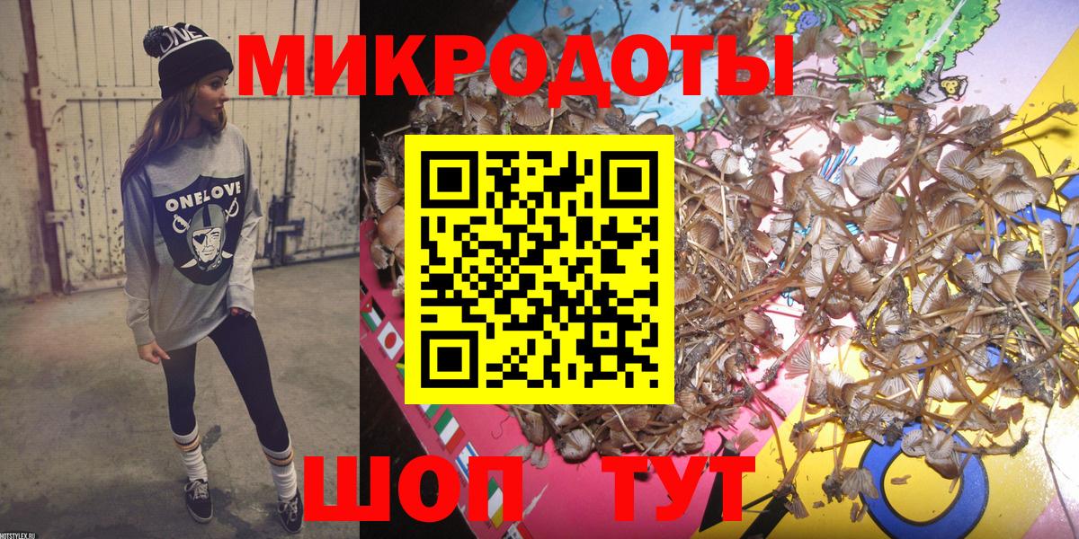 Галлюциногенные грибы Psilocybe  Великий Новгород 